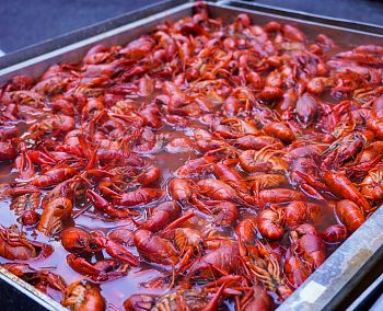 Mardi Gras in May 2022